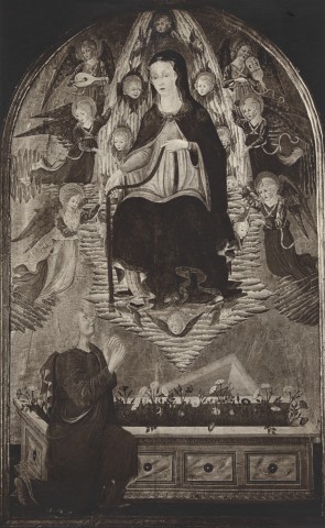 Anonimo — Anonimo fiorentino - sec. XV - Madonna della cintola — insieme